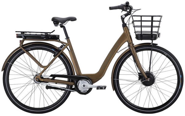 YEC937__74crescentelinaforestbrown.jpg