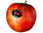 apple0801_fuji