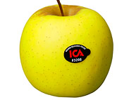 apple0801_golden_delicious