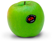 apple0801_greenstar