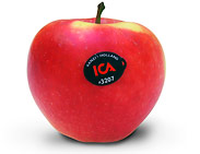 apple0801_kanzi