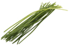 graslok_0811